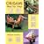 Origami Step by Step