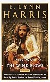 Any Way the Wind Blows: A Novel