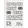 Pocket English-Czech and Czech-English Dictionary