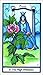 The Herbal Tarot