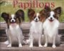 Just Papillons