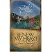 Renew My Heart: Daily Devotional Insights from John Wesley