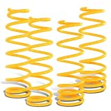 1992 - 2000 Honda Civic 1994 - 2001 Acura Integra 1993 - 1997 Honda Del Sol High... by RS Type