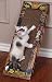 Inclined to Scratch Ramp - Cat Scratcher