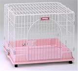new�T�[�N���[�� �A�C�{���[