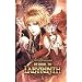 Labyrinth: The extended experience...