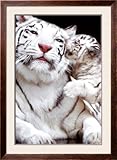 IMAGE OF Tiger Framed Poster Print, 32x44