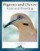Pigeons and Doves: care and breeding (Practical Bird Care)