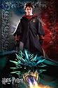 Harry Potter - Goblet of Fire (Solo) - Poster