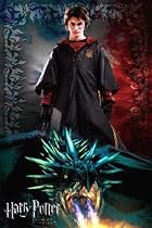 Harry Potter - Goblet of Fire (Solo) - Poster