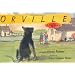 Orville: A Dog Story (Bccb Blue Ribbon Fiction Books (Awards))