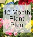 Monthly Blooming Plant Program - 12 Months