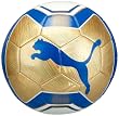 PUMA Fußball PowerCat Graphic, 081880