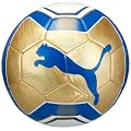 PUMA Fu�ball PowerCat Graphic, 081880