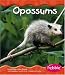 Books : Opossums (Pebble Books)