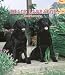 Labrador Retrievers, Black Weekly 2006 Calendar