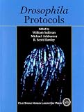 Drosophila Protocols