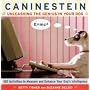 Caninestein: Unleashing the Genius in Your Dog