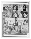 Newswire Photo (L): 19 mini-photos of Alma Gluck
