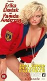 Review Metrodome Video  / Playboy Video Playmate Calendar 1991 [1990]