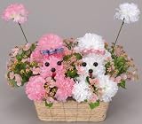 ���G�}�A�[�g�t�����[�@�v�[�h���o�v �`�Q�S�O�P�|�S�O�@
