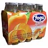 Apricot Nectar (Yoga) CASE (6 x 4.2 oz) (6 Pack) Bottles