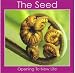 The Seed: Opening to New Life