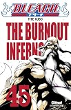 Bleach, Tome 45 : The burnout inferno