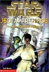 The Shattered Peace (Star Wars: Jedi Apprentice, Book 10)