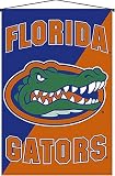Biederlack NCAA Florida Deluxe Wall Hanging