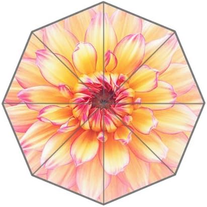 Generic White Cartoon Daisy Dahlia Sunshineproof and Waterproof Personlized and Durable Custom Auto Foldable Umbrella