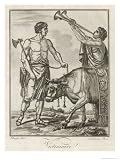 Bull Seemingly Aware of Its Imminent Fate is Led by Roman Priests to the Sacrifice Artists Giclee Poster Print by Saint-sauveur , 18x24