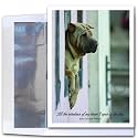 Birthday Cards - Windows, box of 10 cards and envelopes