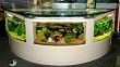 110 gal half circle shape desk aquarium, fish ready with everything