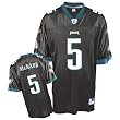 Donovan McNabb #5 Philadelphia Eagles NFL Replica Player Jersey (Alternate Color) Donovan McNabb #5 Philadelphia Eagles NFL Replica Player Jersey (Alternate Color)