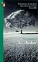 The Gooseboy (Virago Modern Classics)