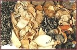 Holiday Gift: Asian Stir Fry Mushroom Selection