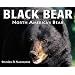 Black Bear: North America's Bear
