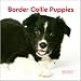 Border Collie Puppies 2010 Mini Wall Calendar