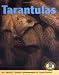 Book Tarantulas (Early Bird Nature Books)