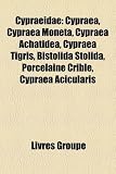 Cypraeidae: Cypraea, Cypraea Moneta, Cypraea Achatidea, Cypraea Tigris, Bistolida Stolida, Porcelaine Crible, Cypraea Acicularis