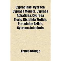 Cypraeidae: Cypraea, Cypraea Moneta, Cypraea Achatidea, Cypraea Tigris, Bistolida Stolida, Porcelaine Crible, Cypraea Acicularis