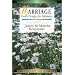 Marriage: God's Design for Intimacy : 11 Studies for Individuals or Groups (Lifeguide Bible Studies)