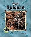 Wolf Spiders (Animal Kingdom)