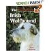 Magnificent Irish Wolfhound (A Ringpress Dog Book of Distinction)