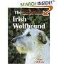 Magnificent Irish Wolfhound (A Ringpress Dog Book of Distinction)