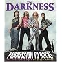 The Darkness: Permission to Rock! - The Unofficial Book