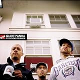 Giant Panda -  Fly School Reunion