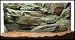 3D Aquarienrückwand 60×30 Rock