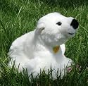 Steiff Plush Knut Polar Ice Bear : Ages 12 months & up